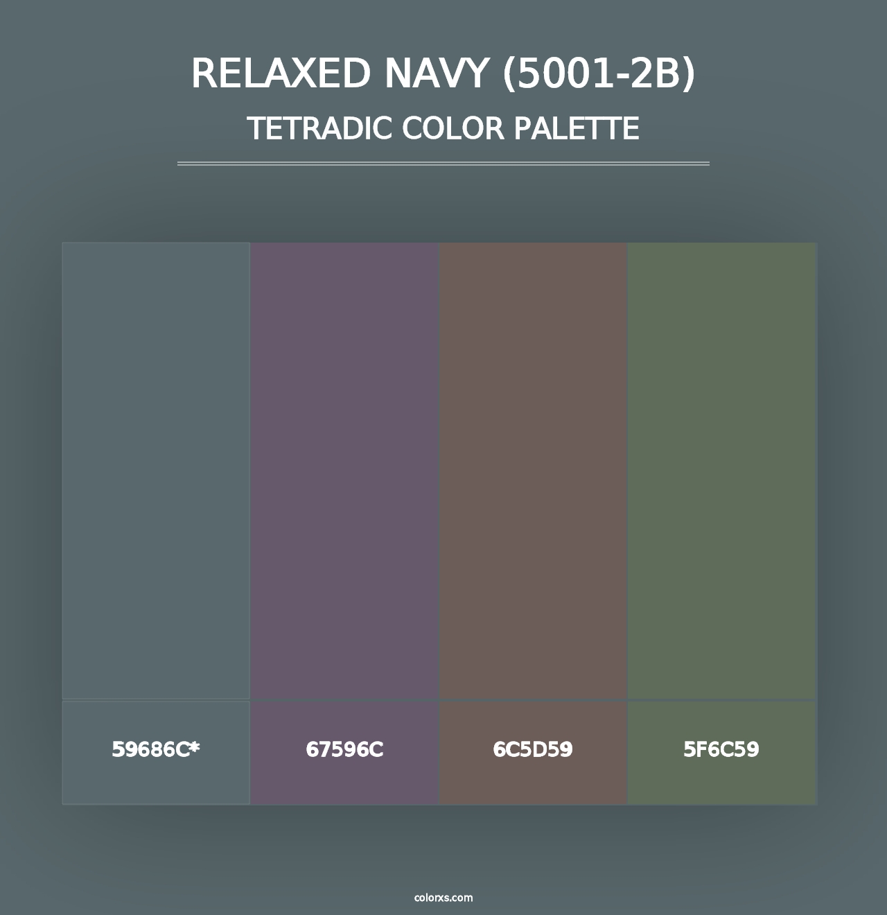 Relaxed Navy (5001-2B) - Tetradic Color Palette