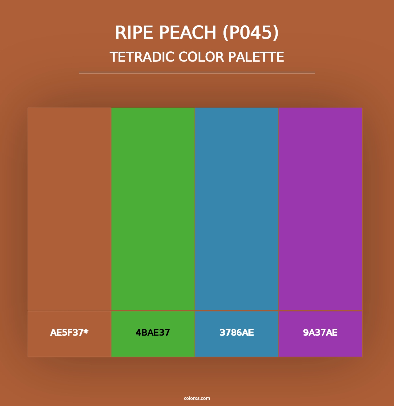 Ripe Peach (P045) - Tetradic Color Palette