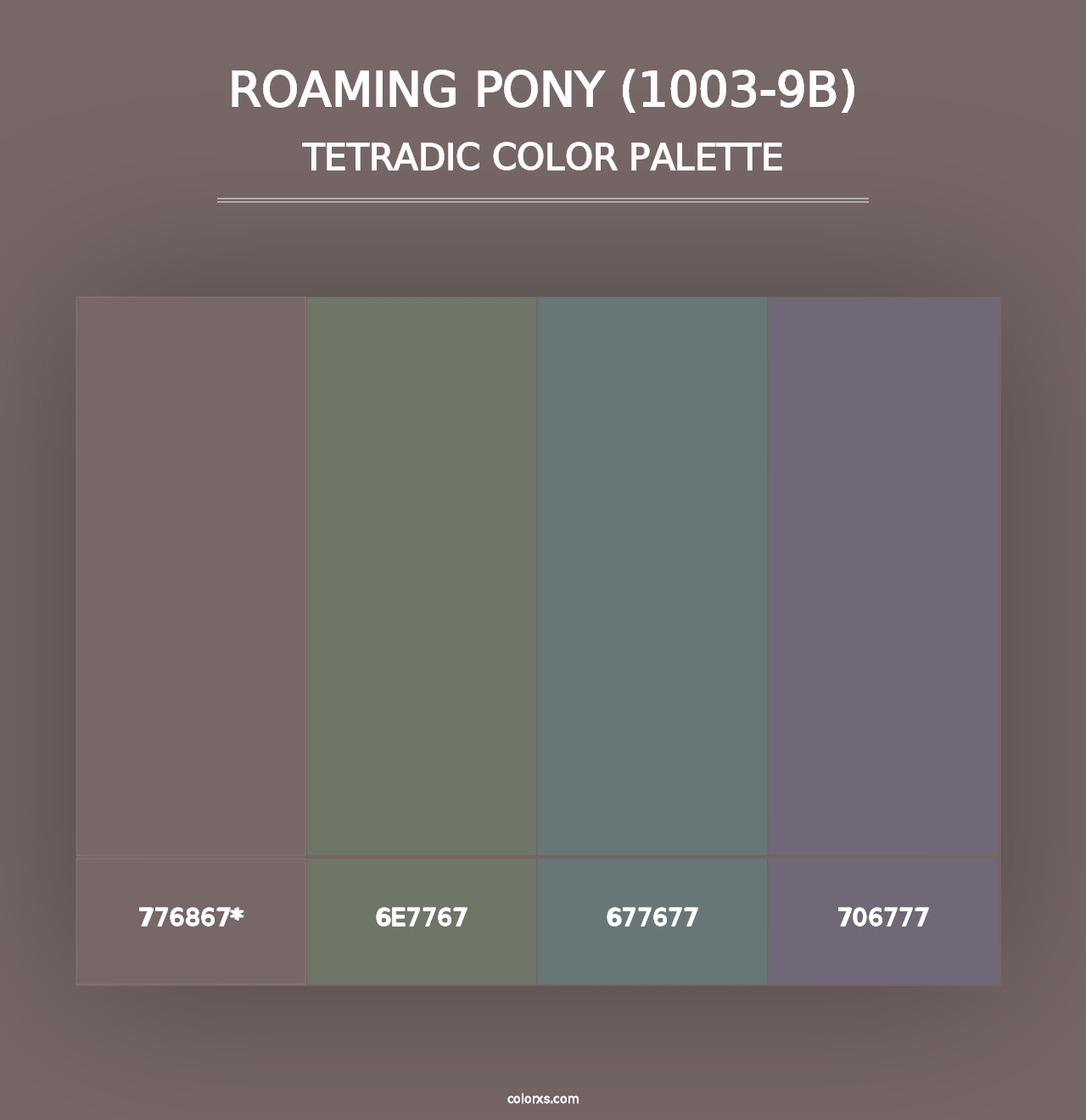 Roaming Pony (1003-9B) - Tetradic Color Palette