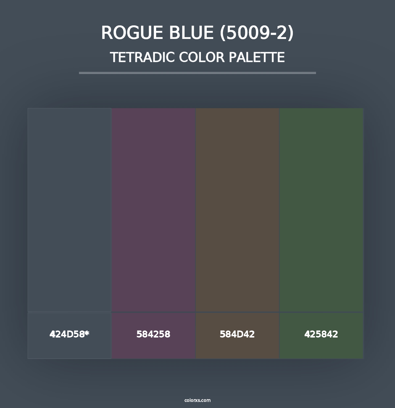 Rogue Blue (5009-2) - Tetradic Color Palette