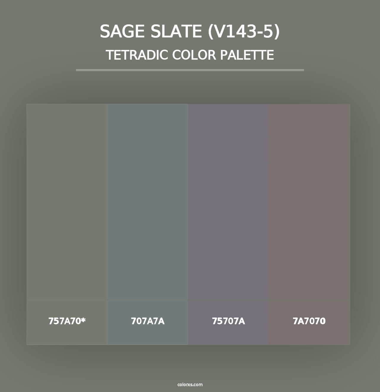 Sage Slate (V143-5) - Tetradic Color Palette