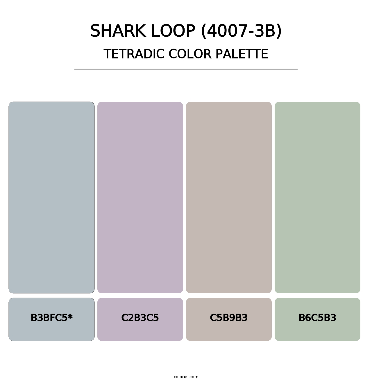 Shark Loop (4007-3B) - Tetradic Color Palette