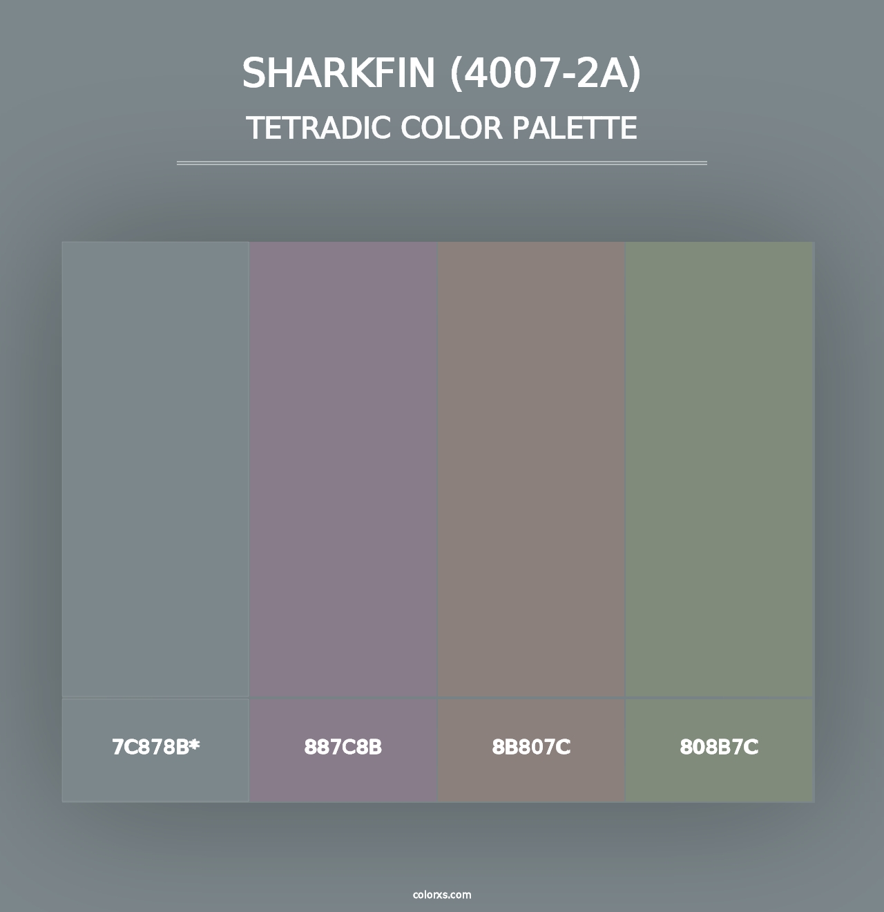 Sharkfin (4007-2A) - Tetradic Color Palette