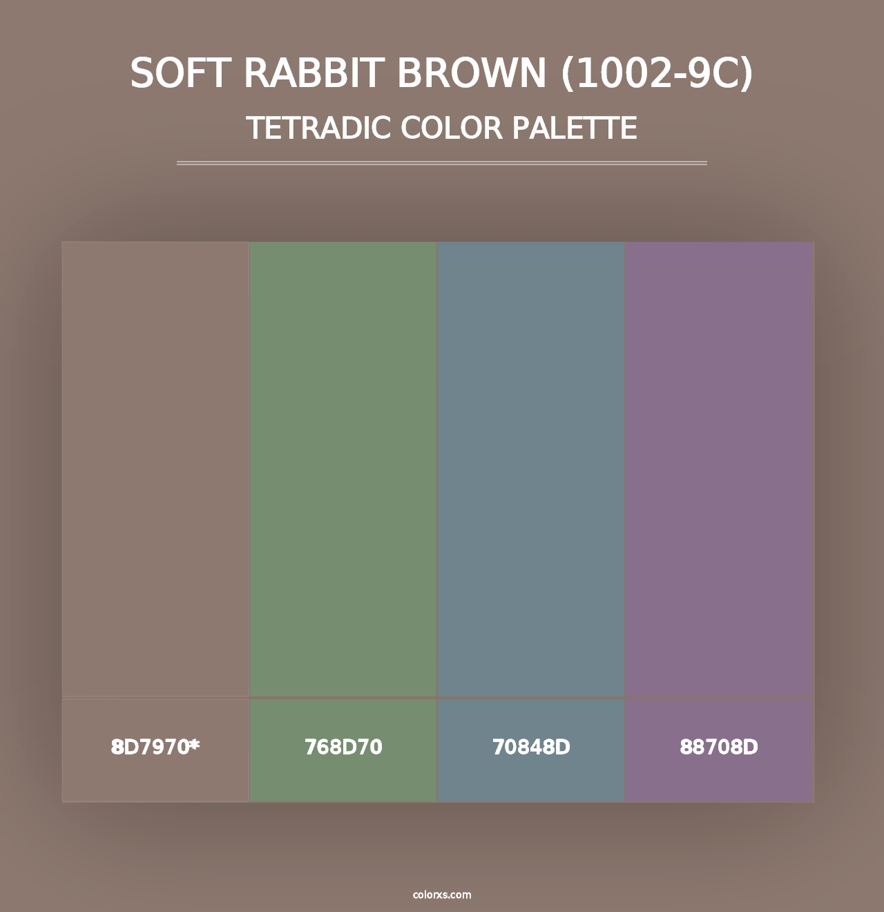 Soft Rabbit Brown (1002-9C) - Tetradic Color Palette