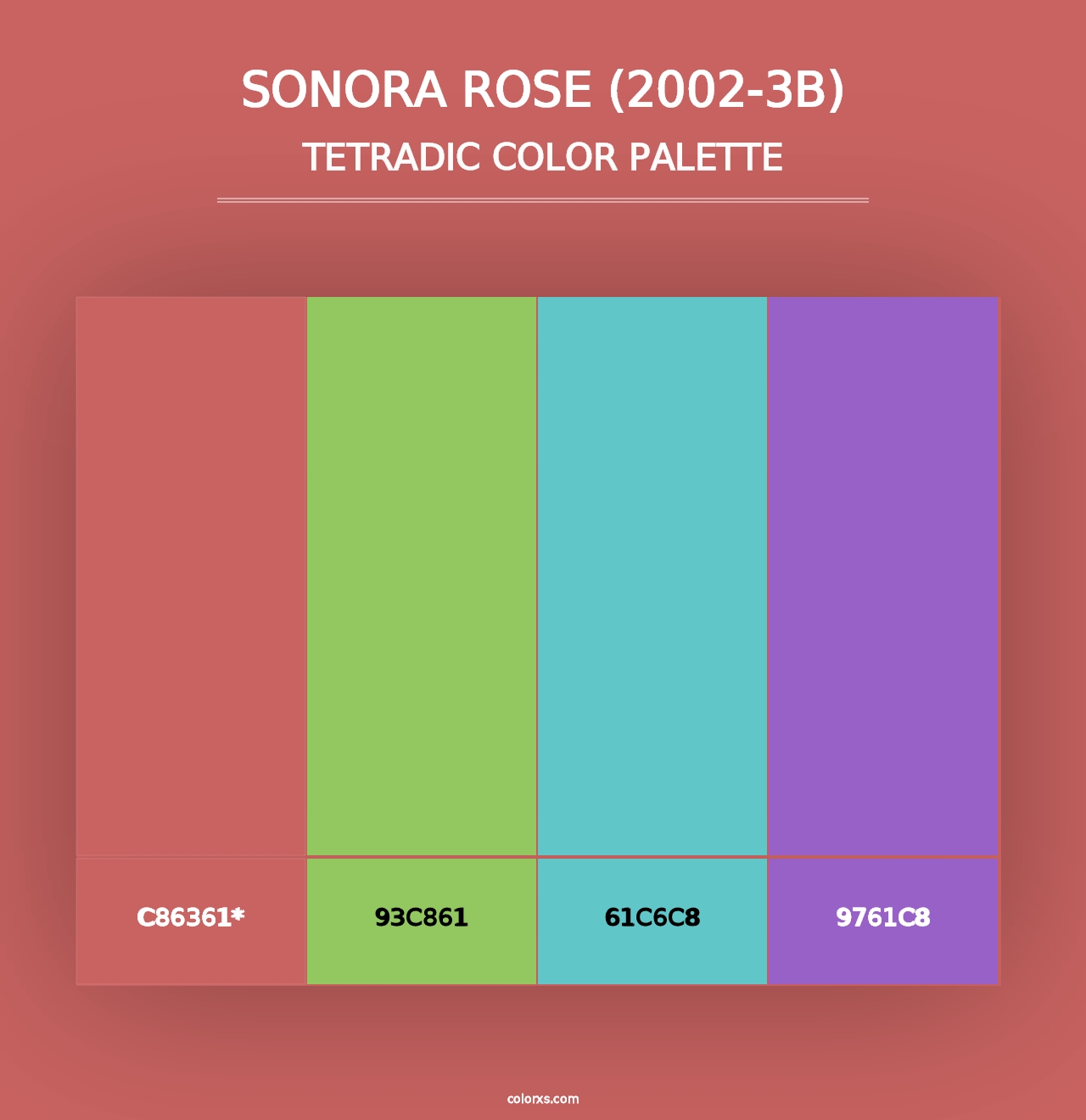 Sonora Rose (2002-3B) - Tetradic Color Palette