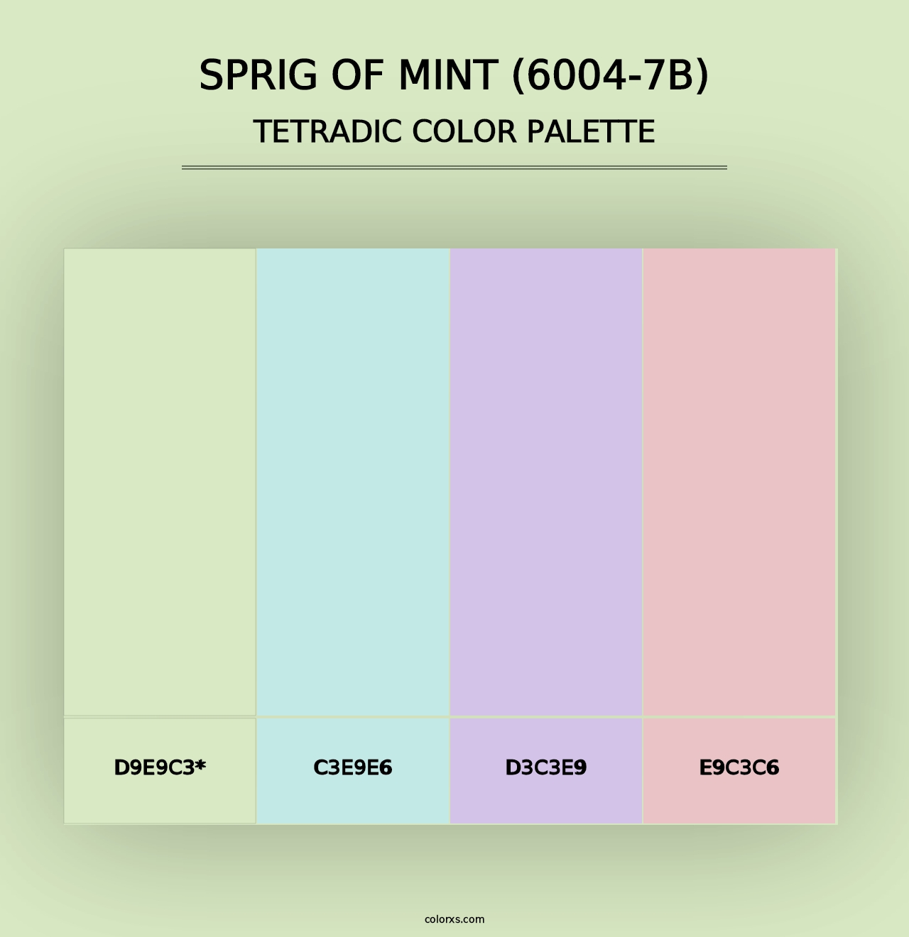 Sprig of Mint (6004-7B) - Tetradic Color Palette