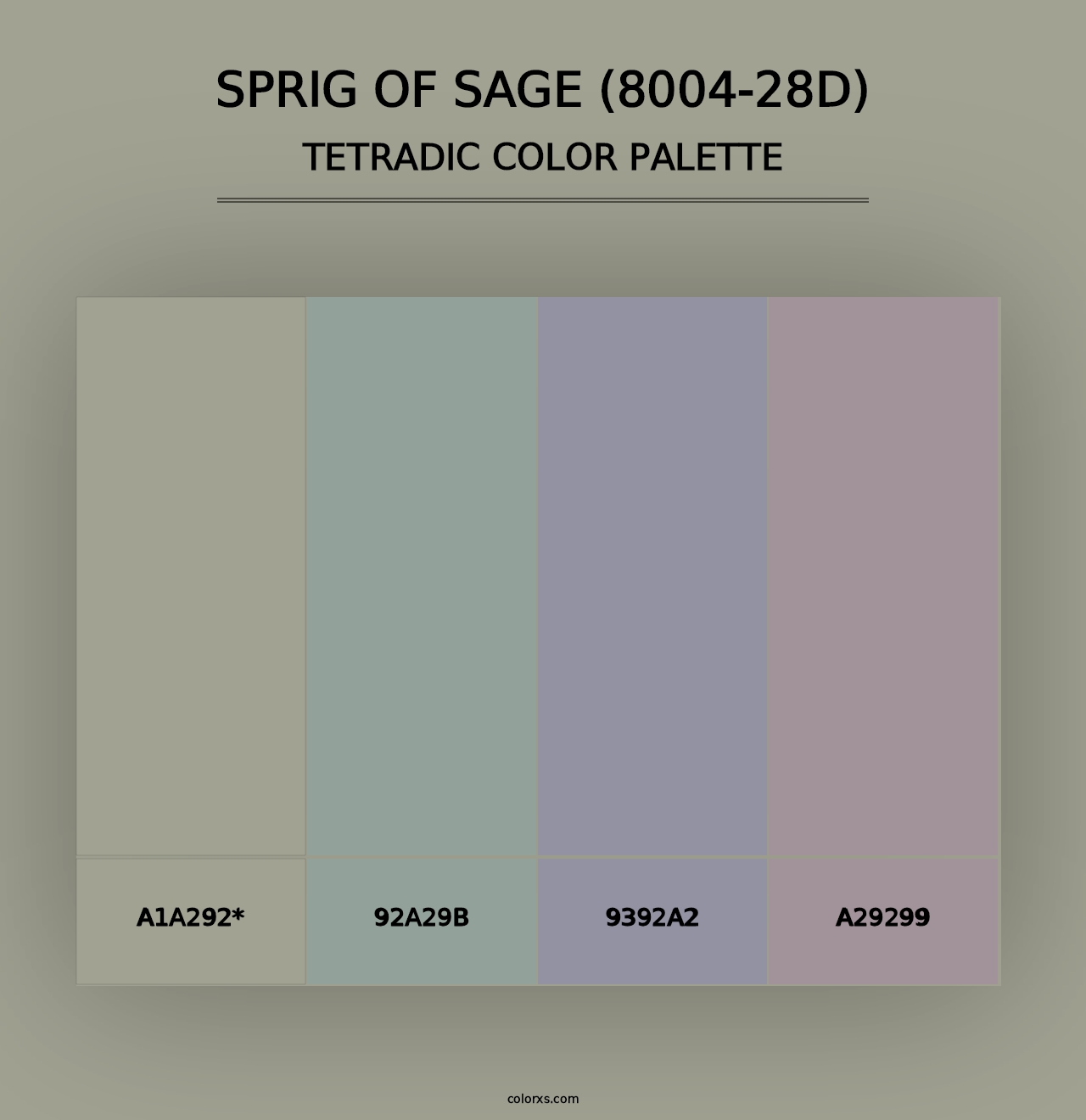 Sprig of Sage (8004-28D) - Tetradic Color Palette