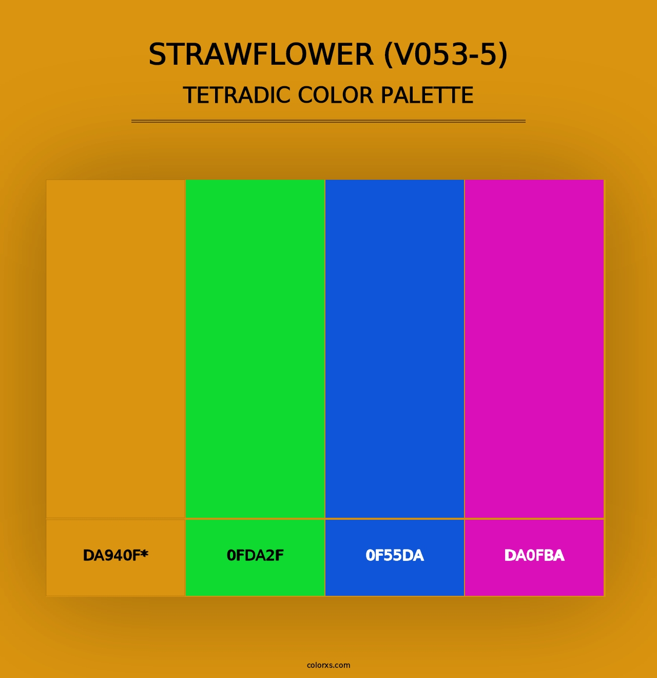 Strawflower (V053-5) - Tetradic Color Palette