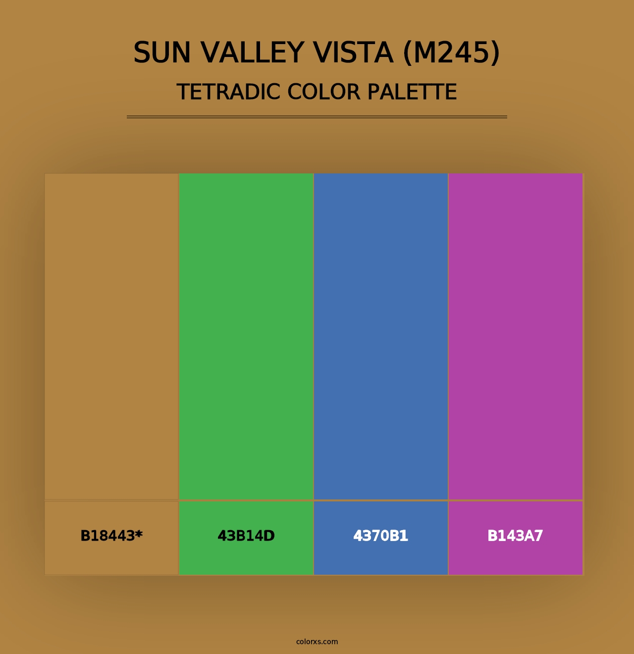 Sun Valley Vista (M245) - Tetradic Color Palette