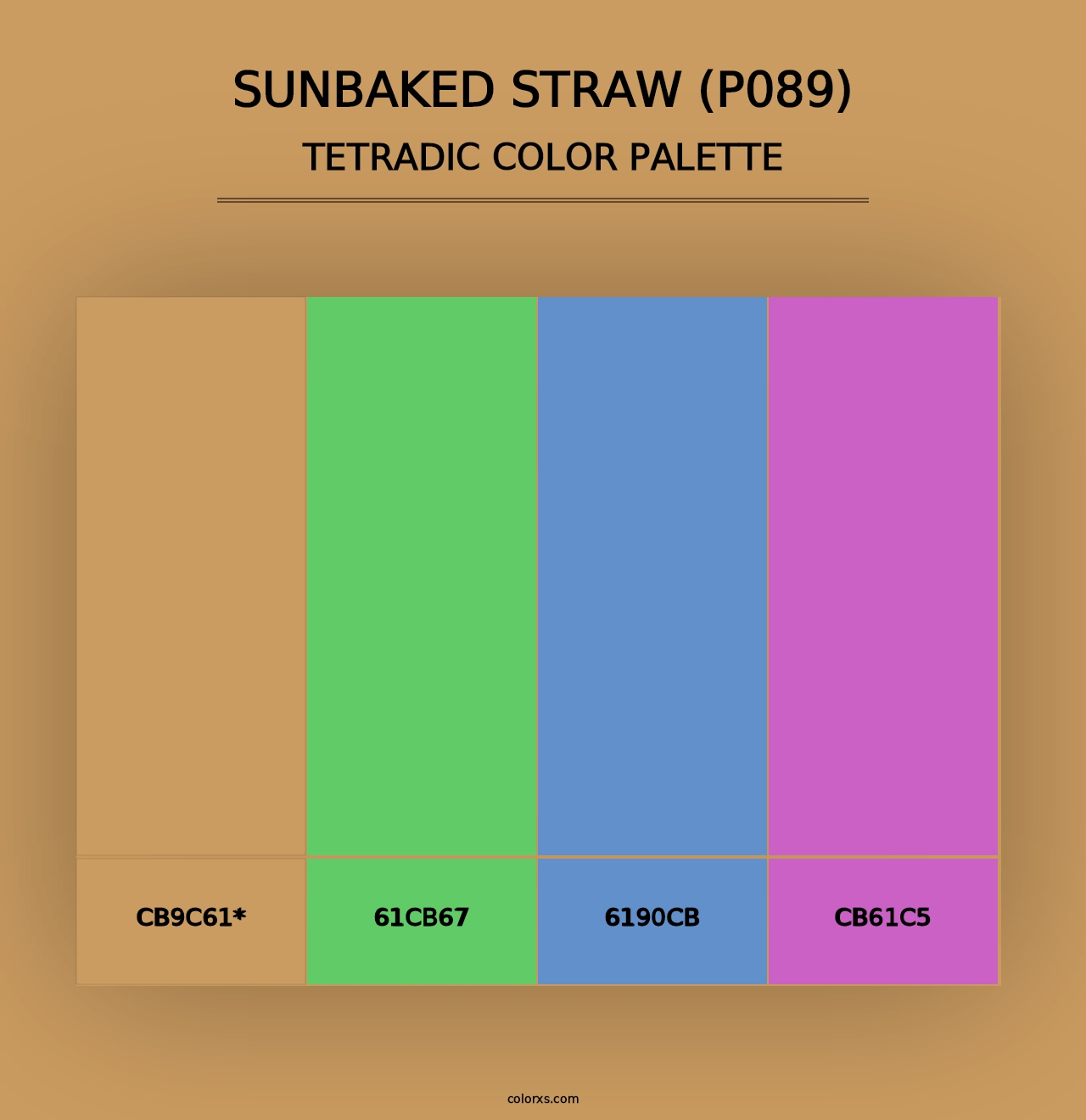 Sunbaked Straw (P089) - Tetradic Color Palette