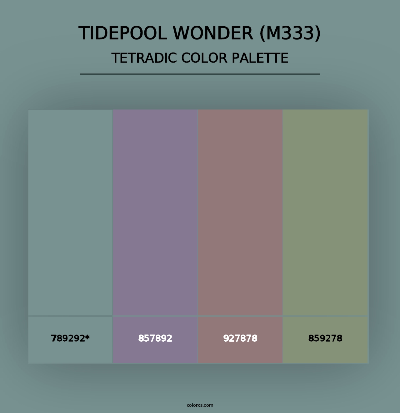 Tidepool Wonder (M333) - Tetradic Color Palette