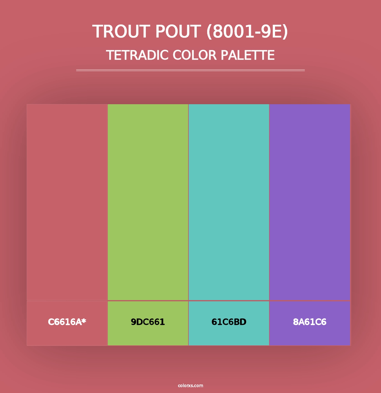 Trout Pout (8001-9E) - Tetradic Color Palette