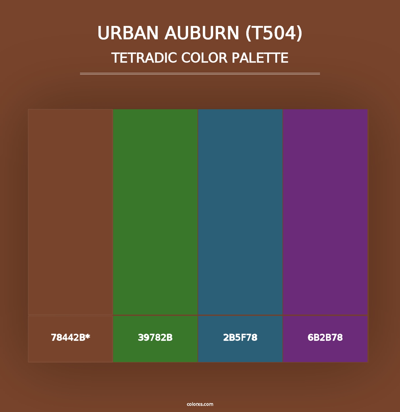 Urban Auburn (T504) - Tetradic Color Palette