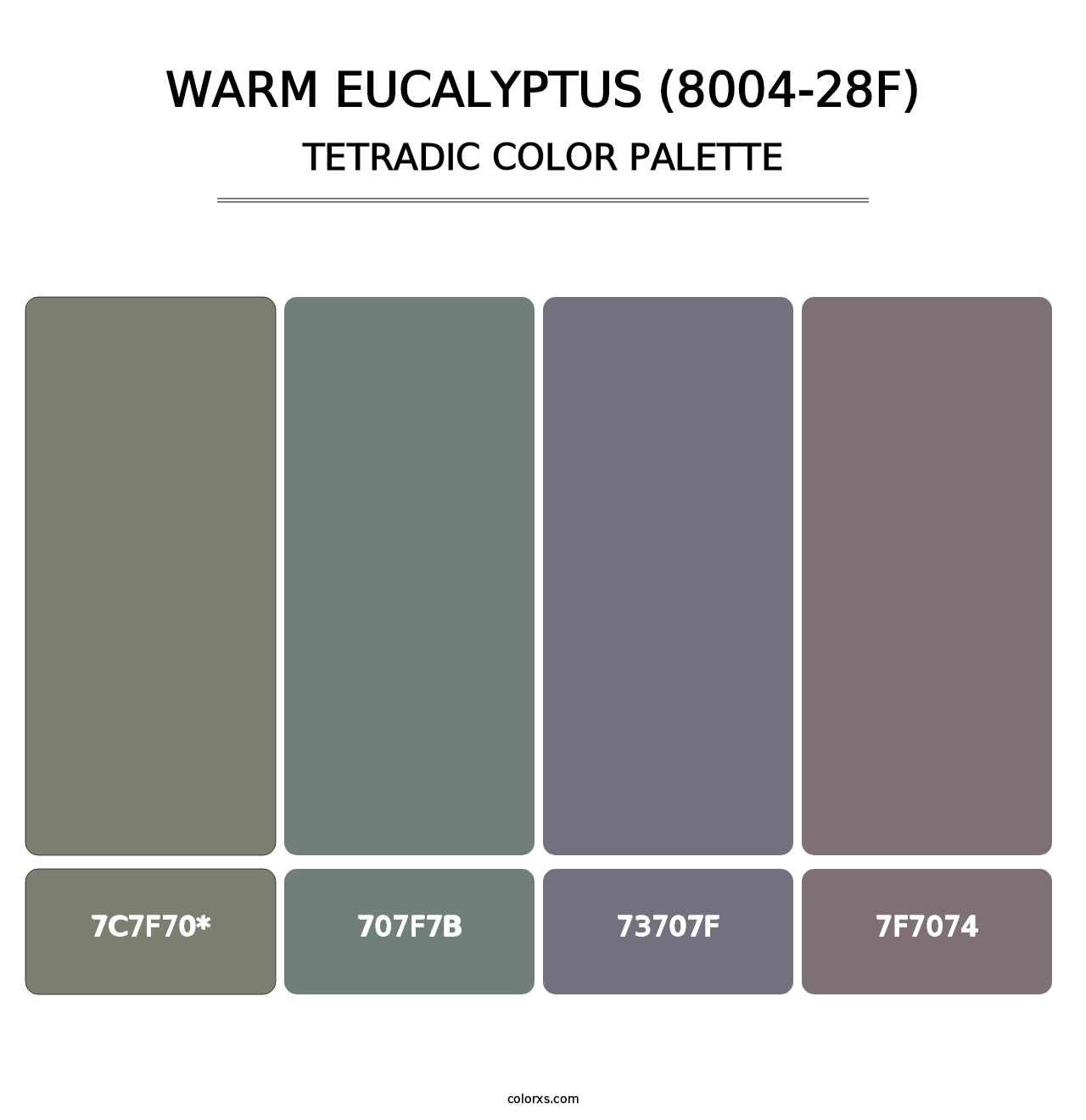 Warm Eucalyptus (8004-28F) - Tetradic Color Palette