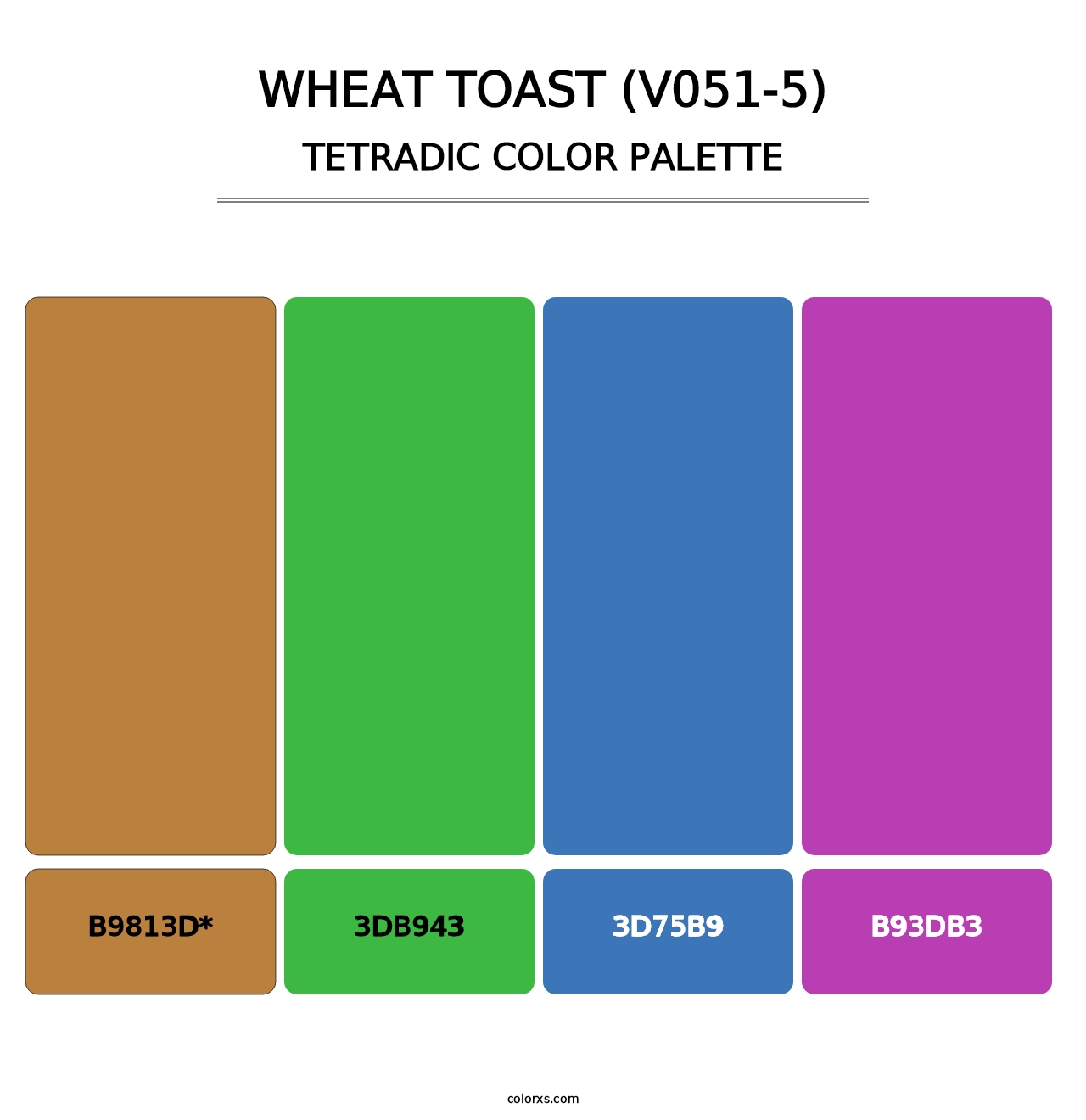 Wheat Toast (V051-5) - Tetradic Color Palette