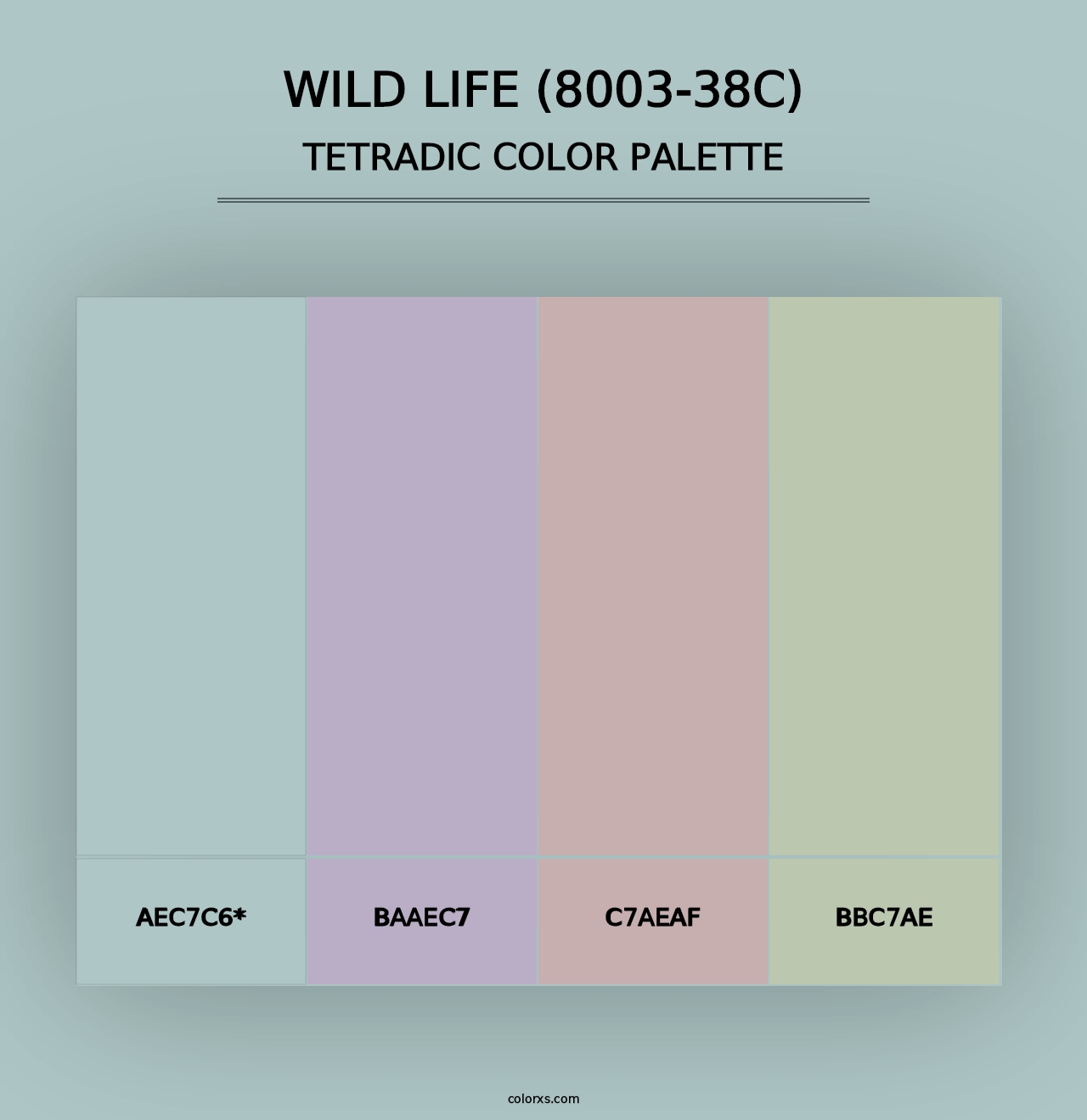 Wild Life (8003-38C) - Tetradic Color Palette