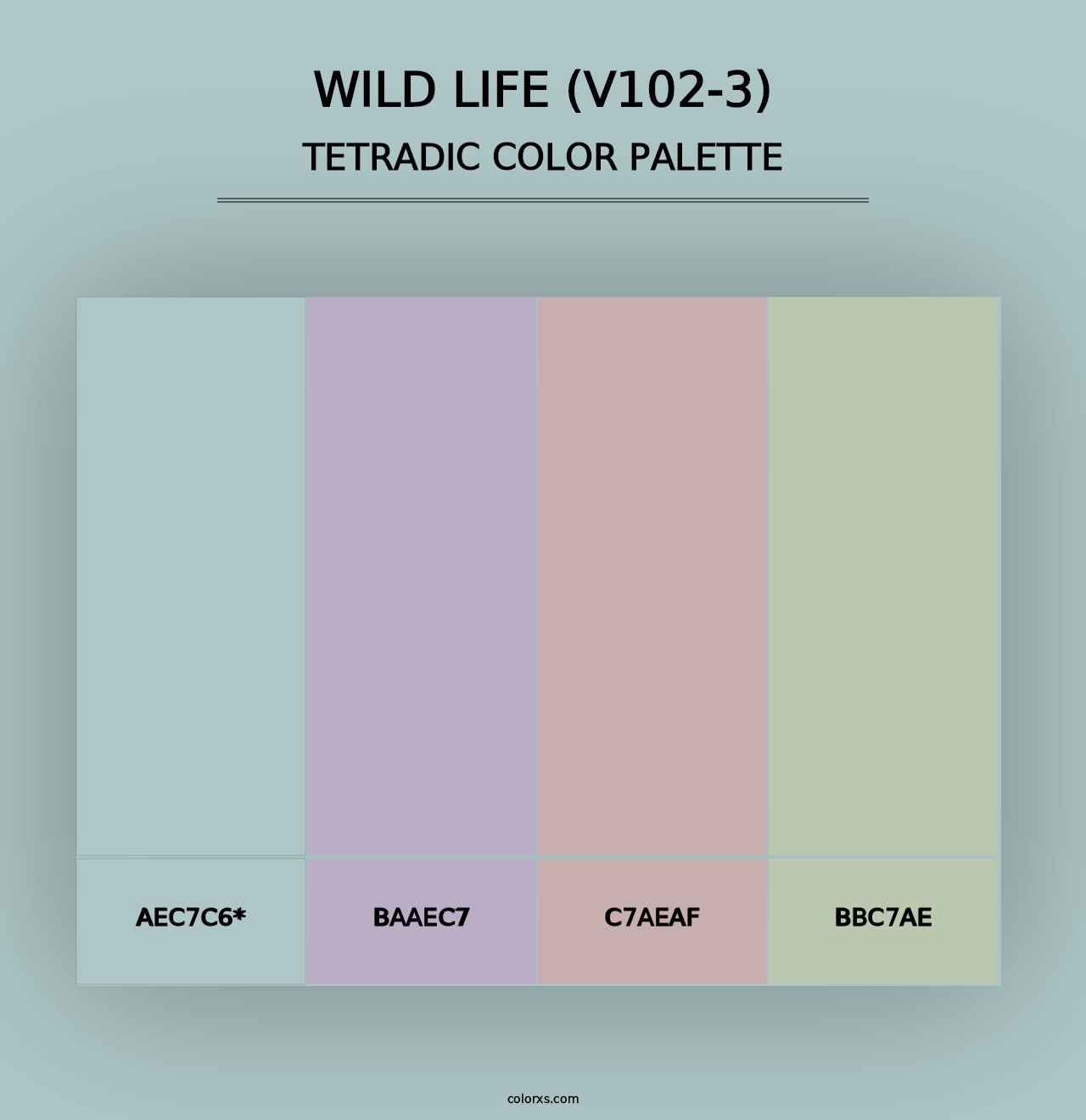 Wild Life (V102-3) - Tetradic Color Palette