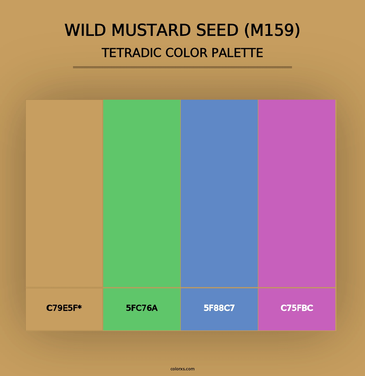 Wild Mustard Seed (M159) - Tetradic Color Palette