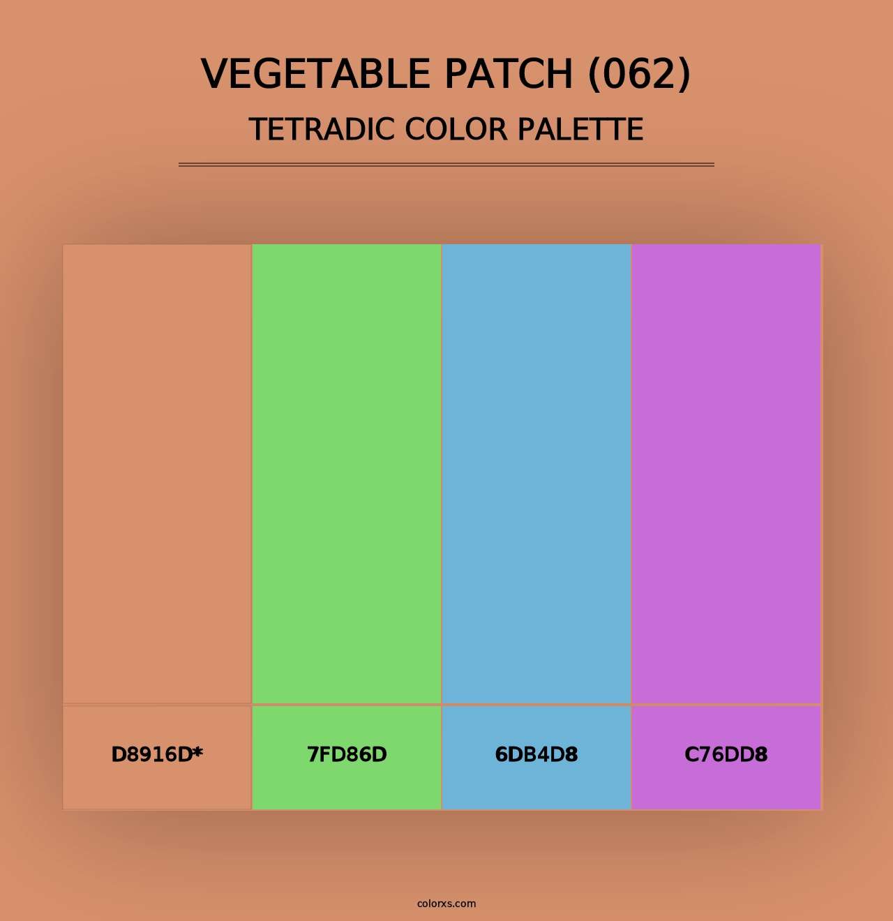 Vegetable Patch (062) - Tetradic Color Palette