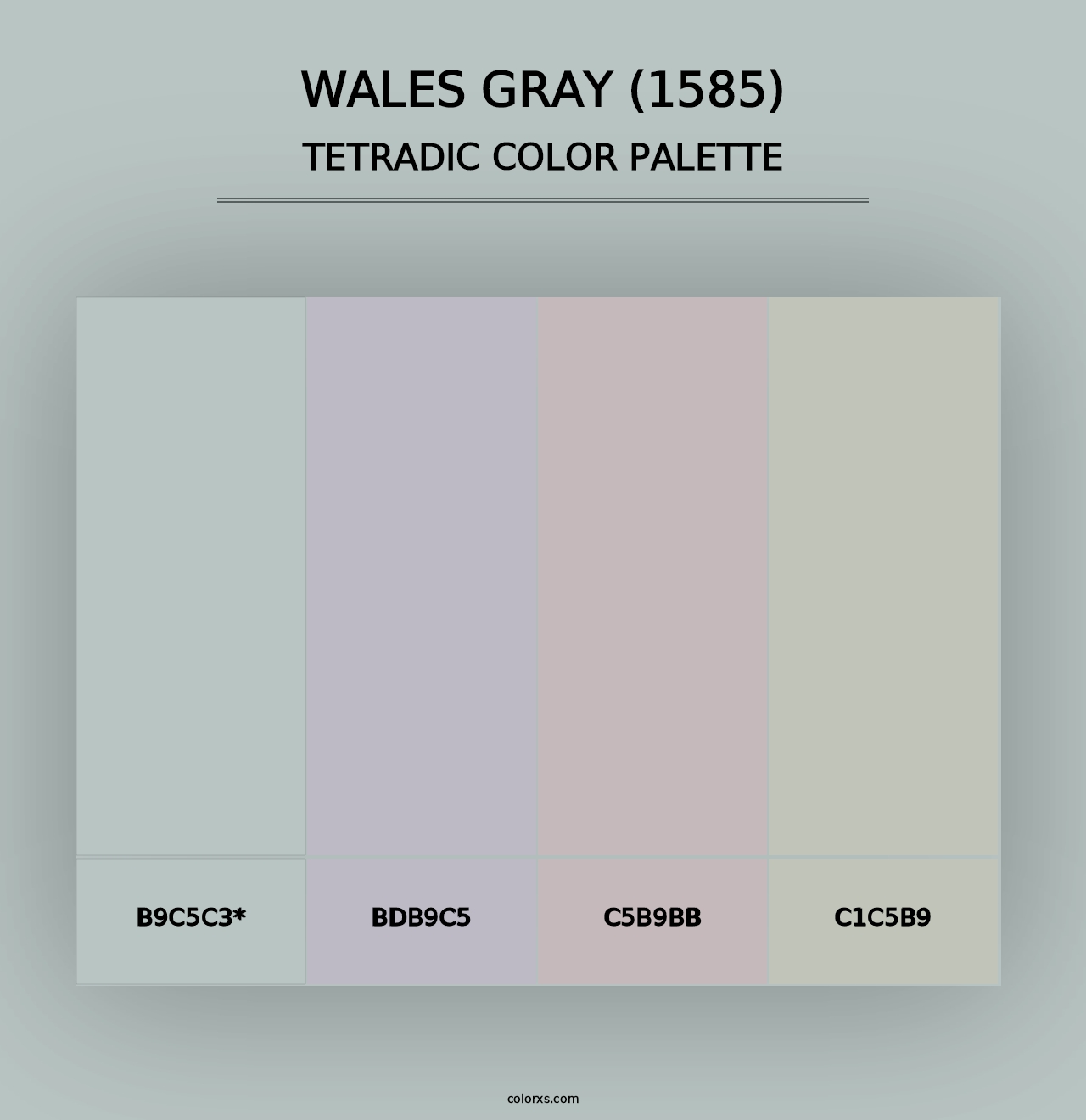 Wales Gray (1585) - Tetradic Color Palette