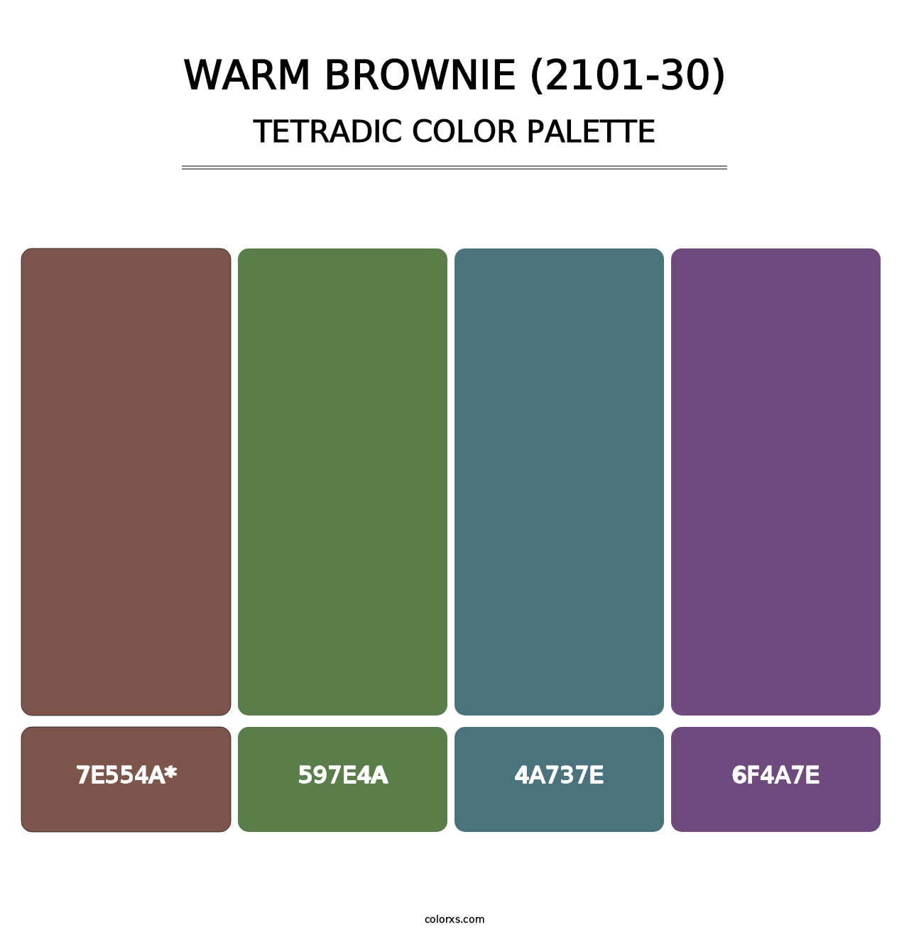 Warm Brownie (2101-30) - Tetradic Color Palette