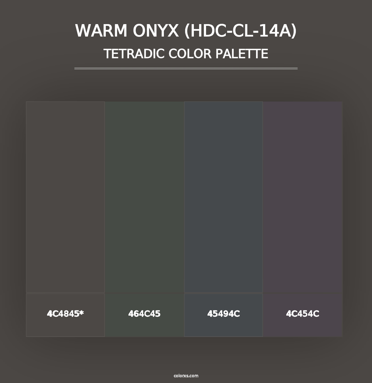 Warm Onyx (HDC-CL-14A) - Tetradic Color Palette