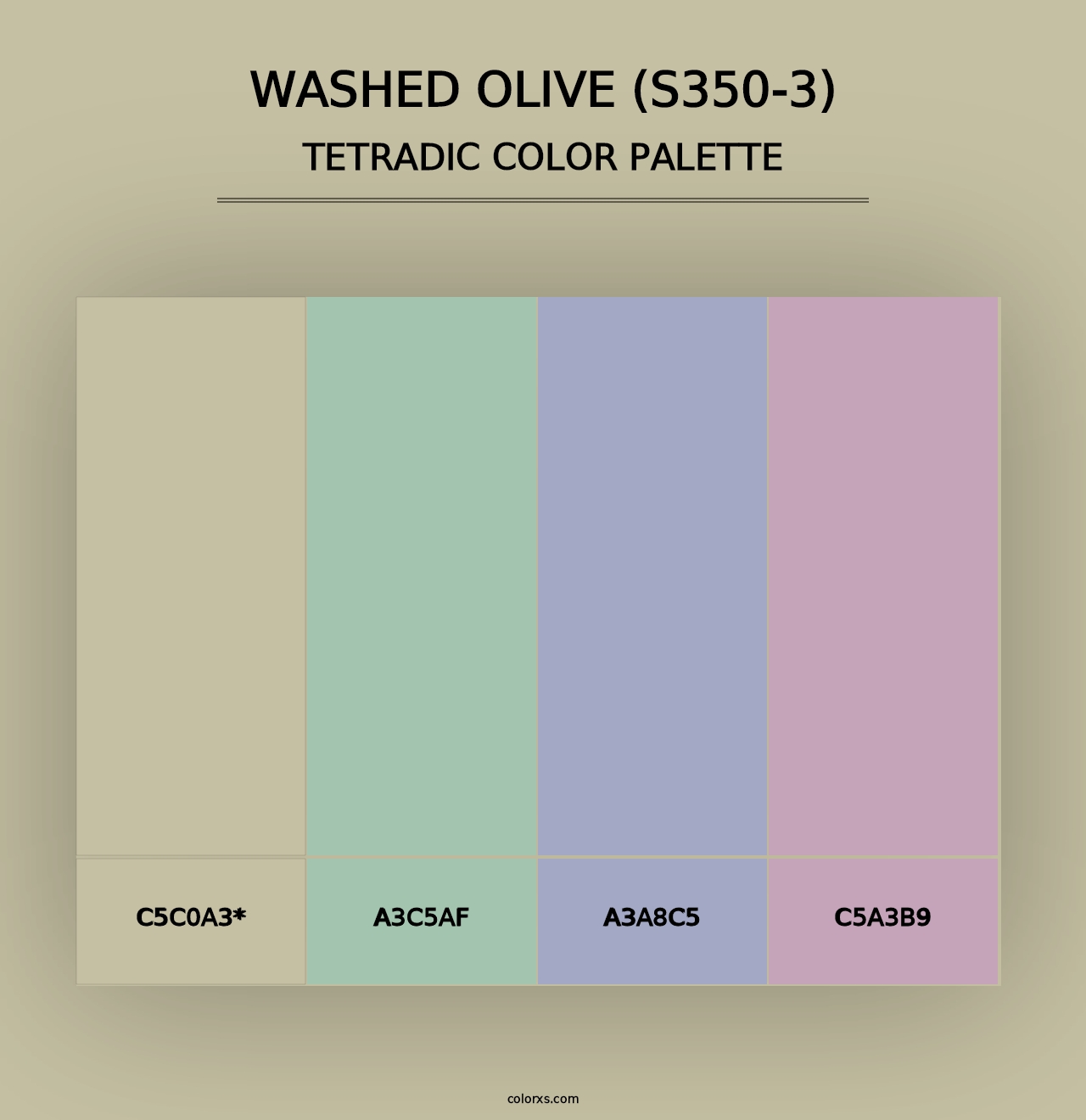 Washed Olive (S350-3) - Tetradic Color Palette