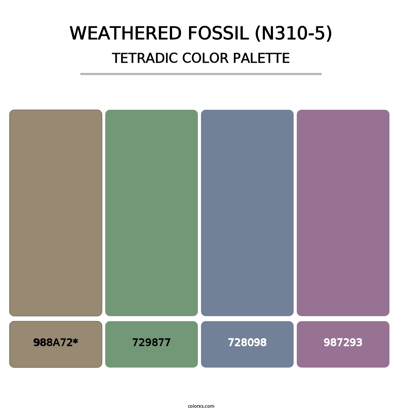 Weathered Fossil (N310-5) - Tetradic Color Palette