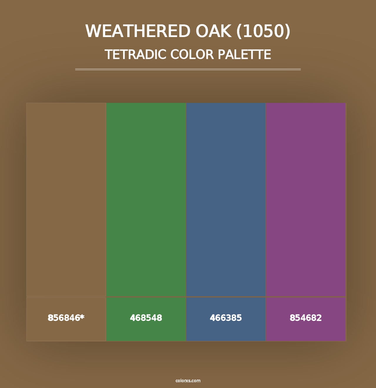 Weathered Oak (1050) - Tetradic Color Palette