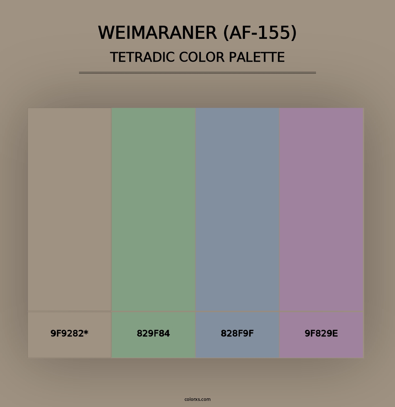 Weimaraner (AF-155) - Tetradic Color Palette