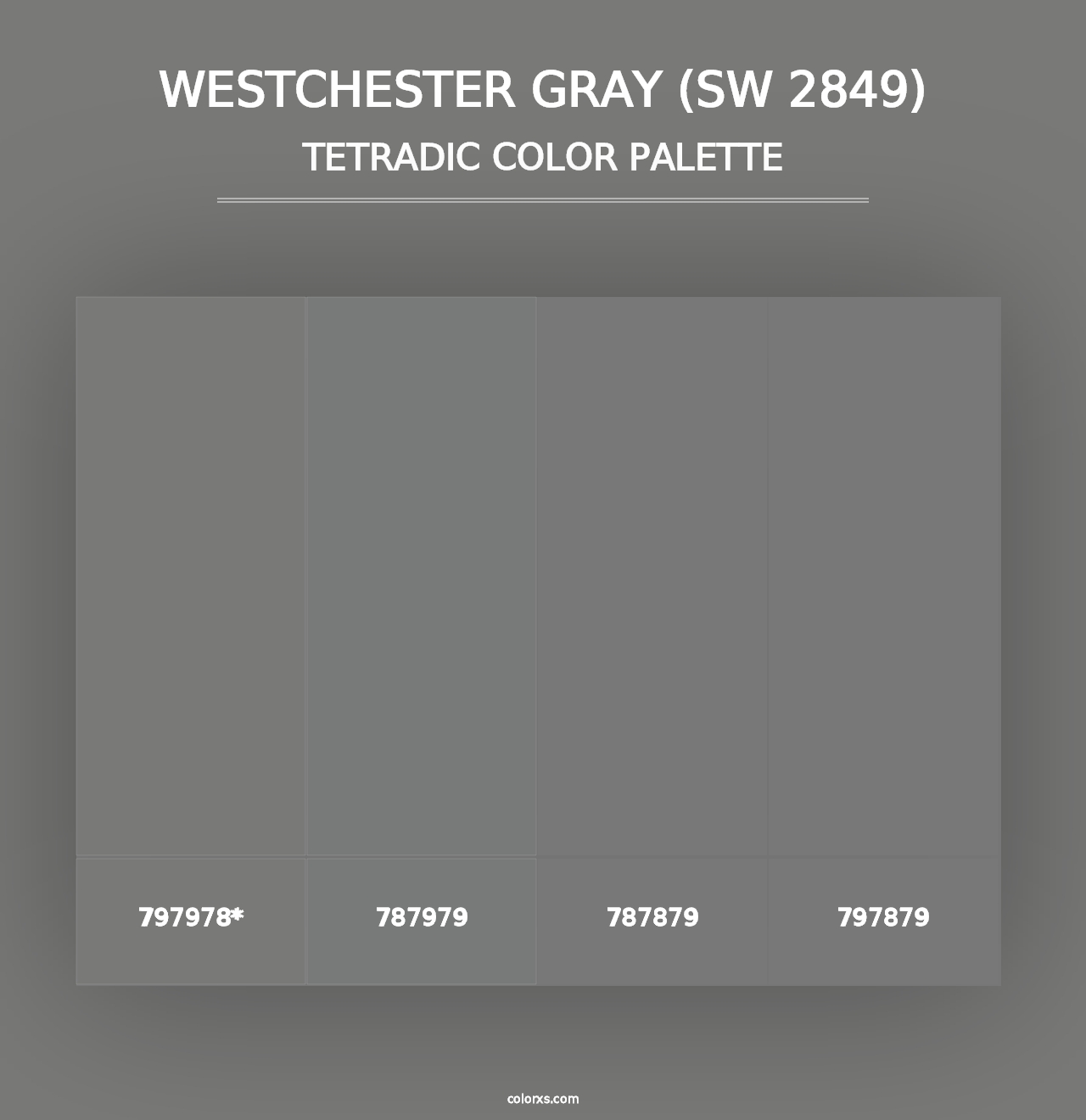 Westchester Gray (SW 2849) - Tetradic Color Palette