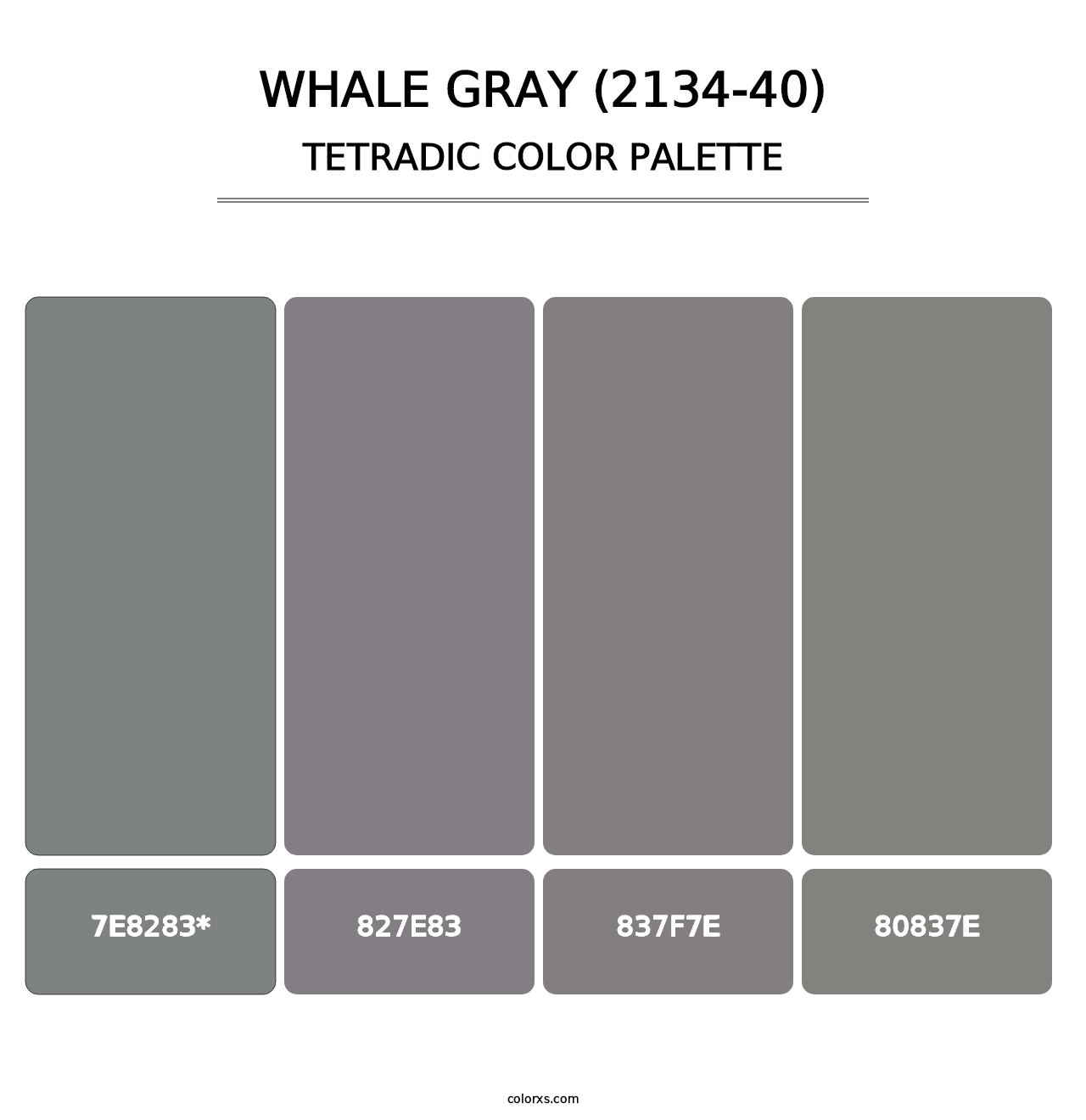 Whale Gray (2134-40) - Tetradic Color Palette