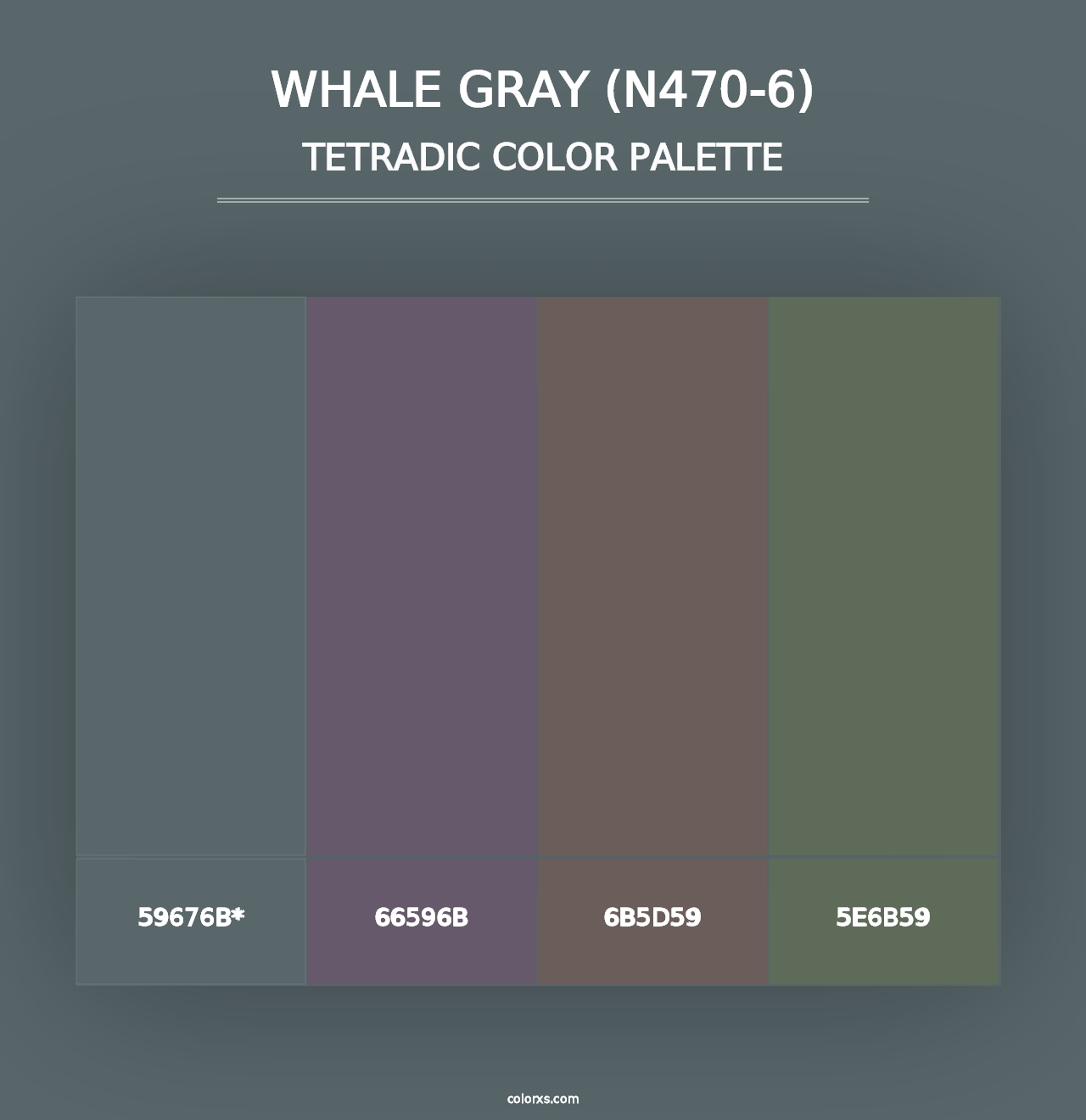 Whale Gray (N470-6) - Tetradic Color Palette