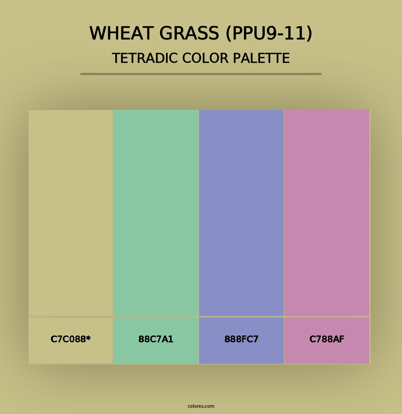 Wheat Grass (PPU9-11) - Tetradic Color Palette