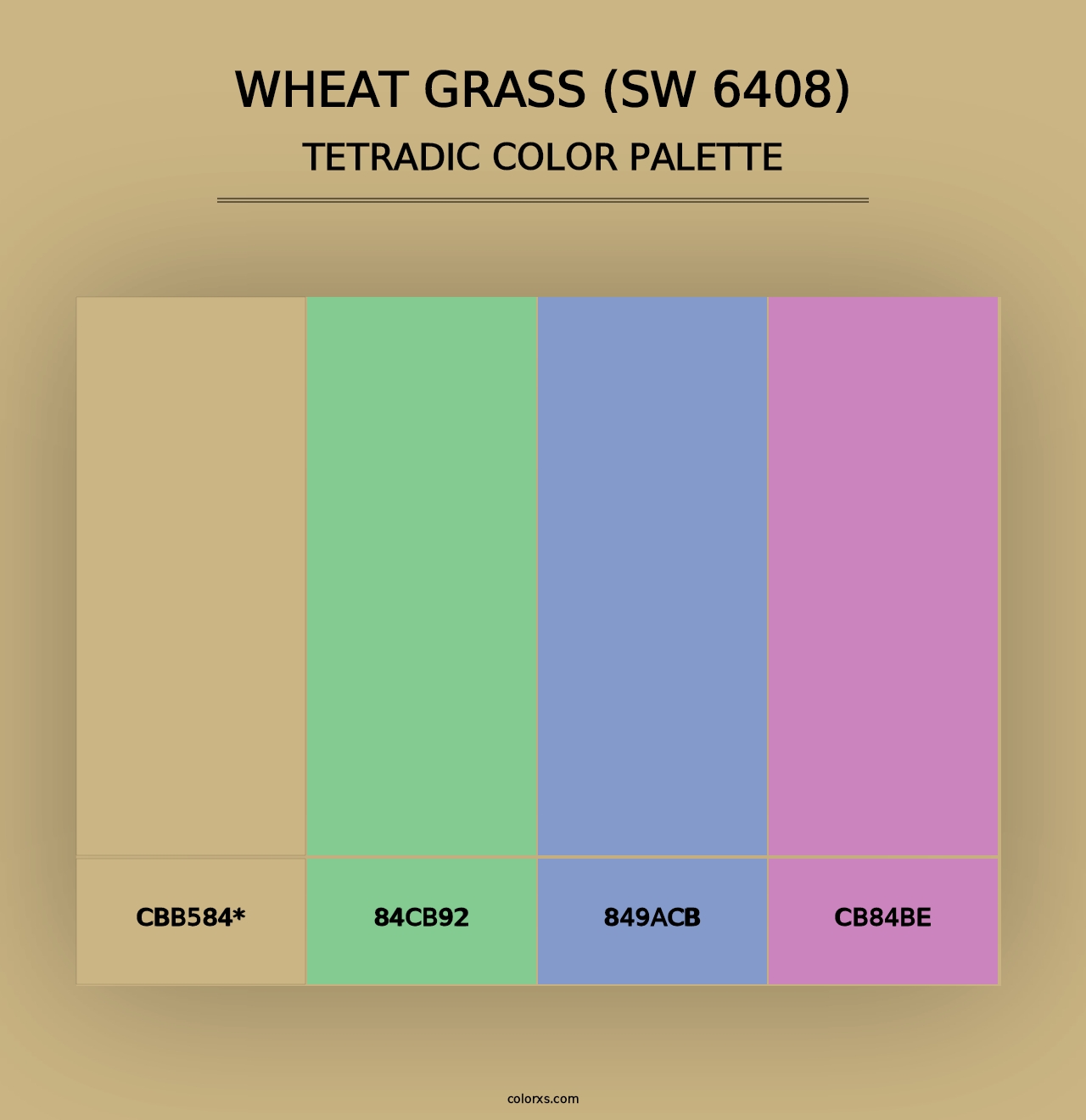 Wheat Grass (SW 6408) - Tetradic Color Palette