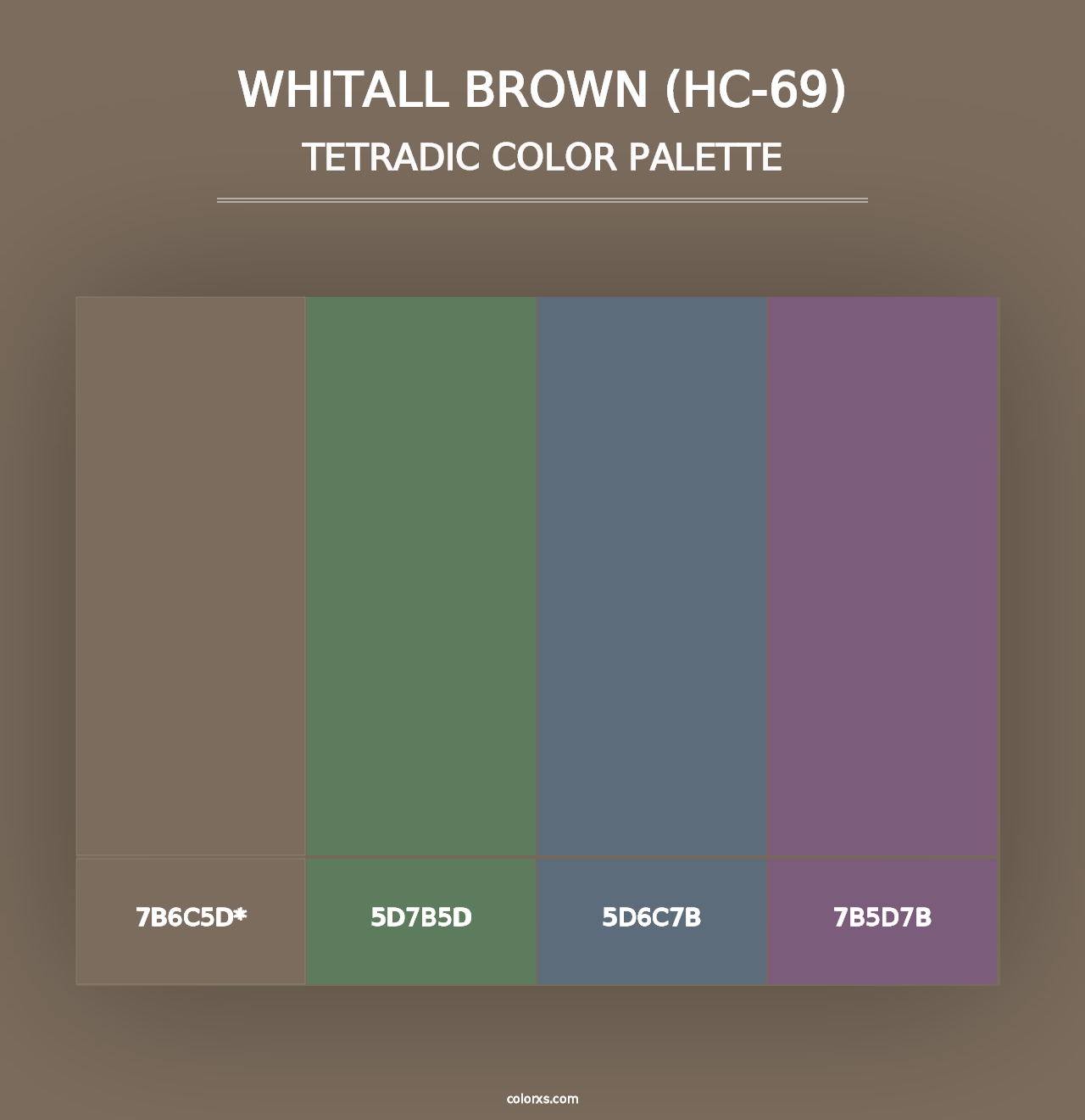 Whitall Brown (HC-69) - Tetradic Color Palette