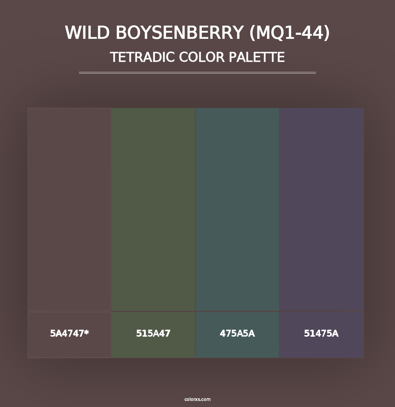 Wild Boysenberry (MQ1-44) - Tetradic Color Palette