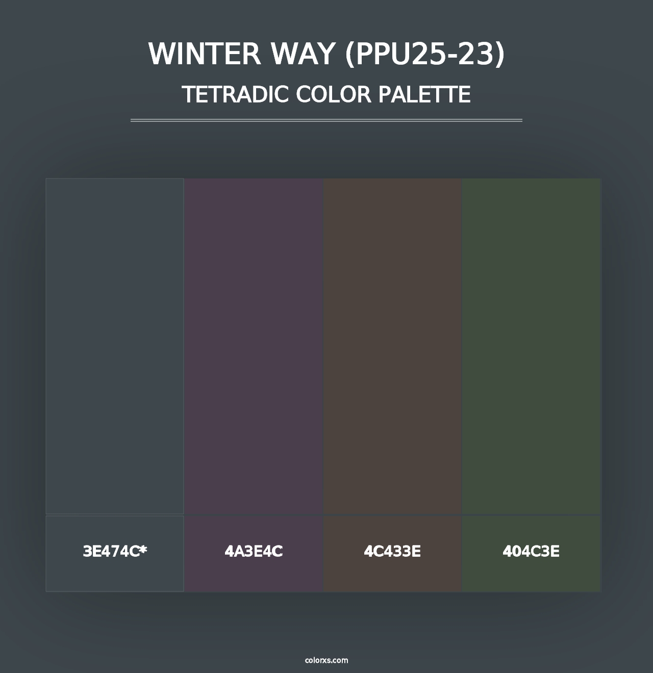 Winter Way (PPU25-23) - Tetradic Color Palette