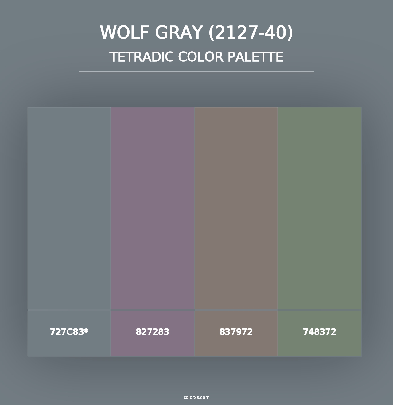 Wolf Gray (2127-40) - Tetradic Color Palette