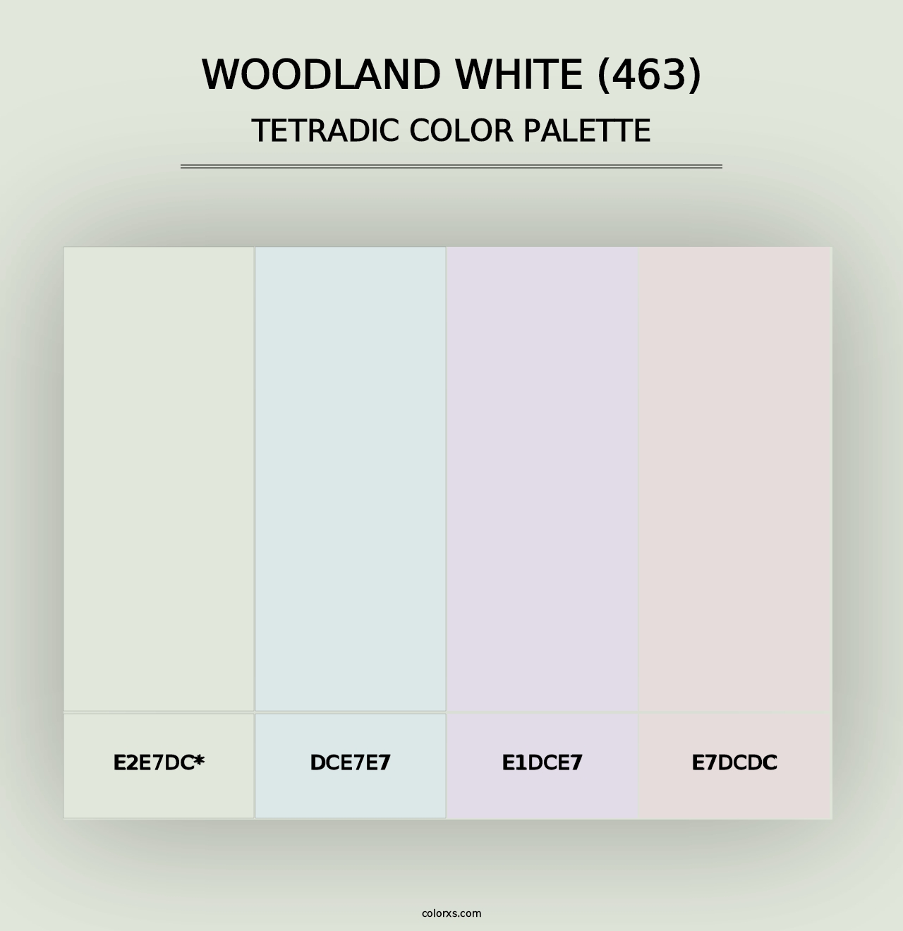 Woodland White (463) - Tetradic Color Palette