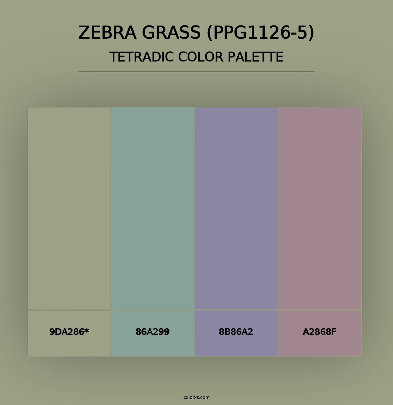 Zebra Grass (PPG1126-5) - Tetradic Color Palette