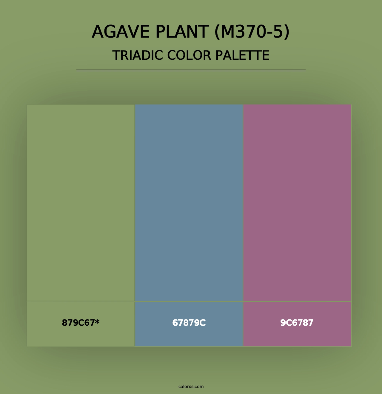 Agave Plant (M370-5) - Triadic Color Palette