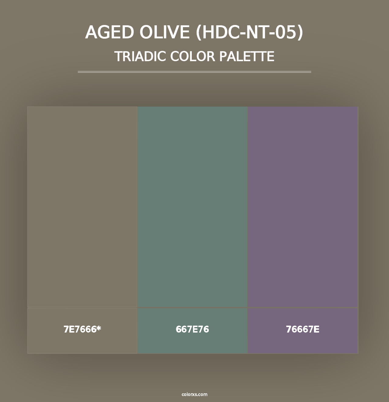 Aged Olive (HDC-NT-05) - Triadic Color Palette