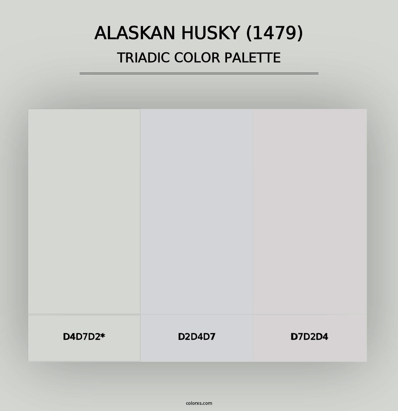 Alaskan Husky (1479) - Triadic Color Palette