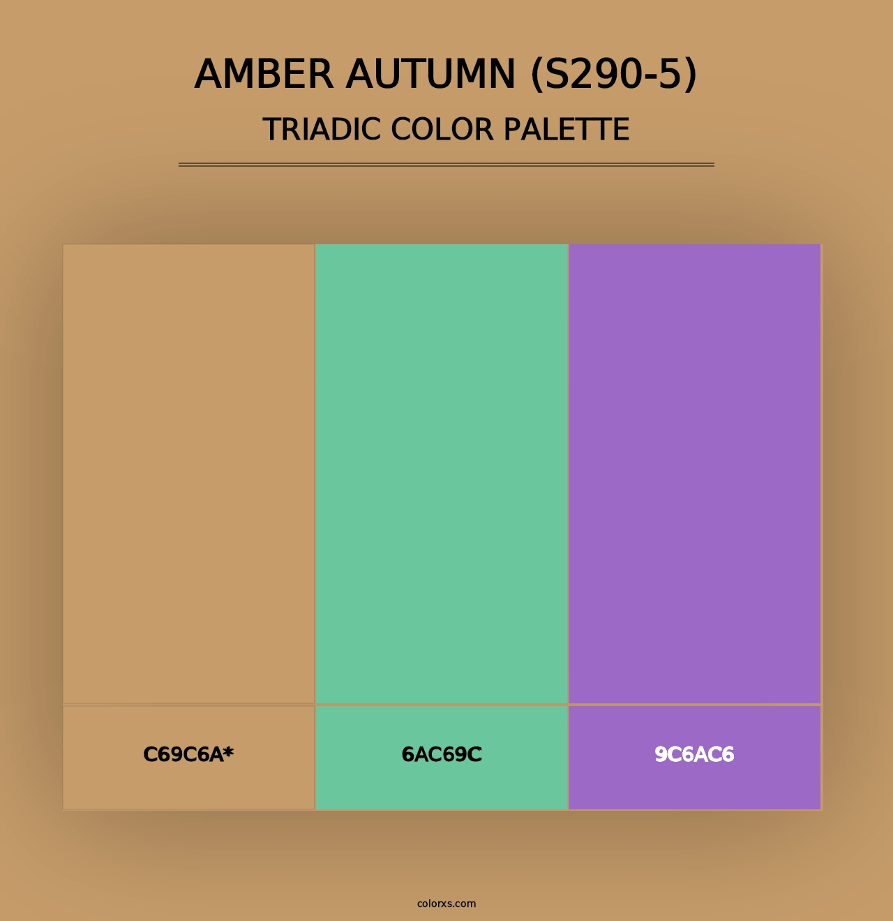 Amber Autumn (S290-5) - Triadic Color Palette