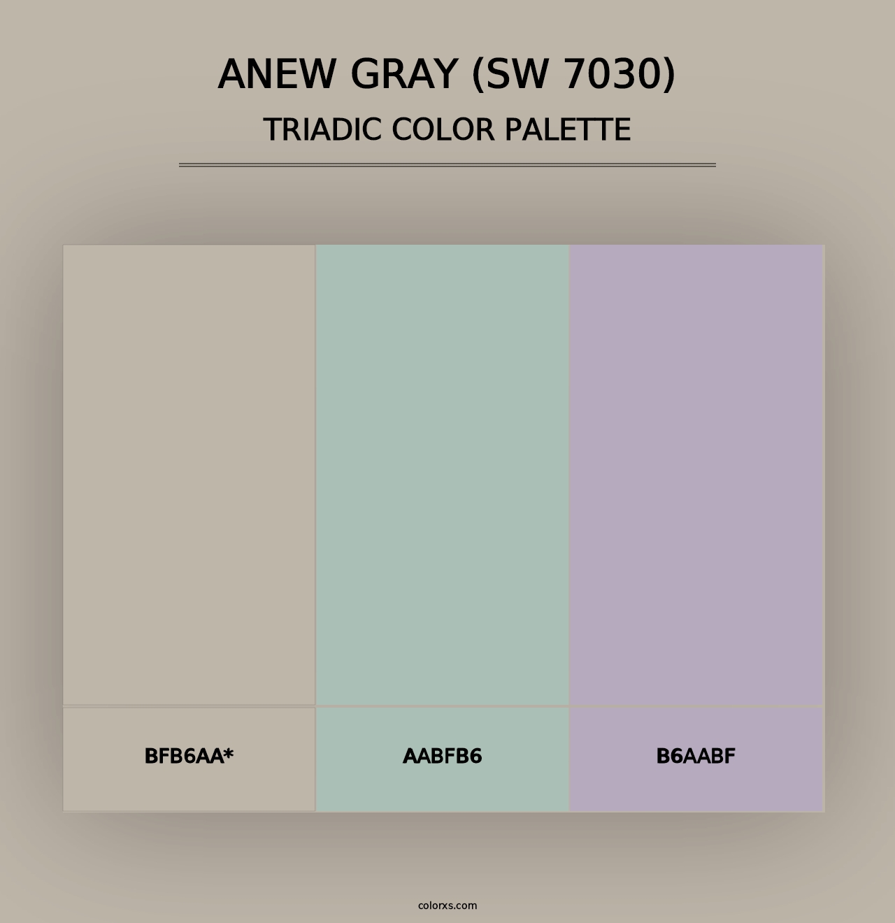 Anew Gray (SW 7030) - Triadic Color Palette