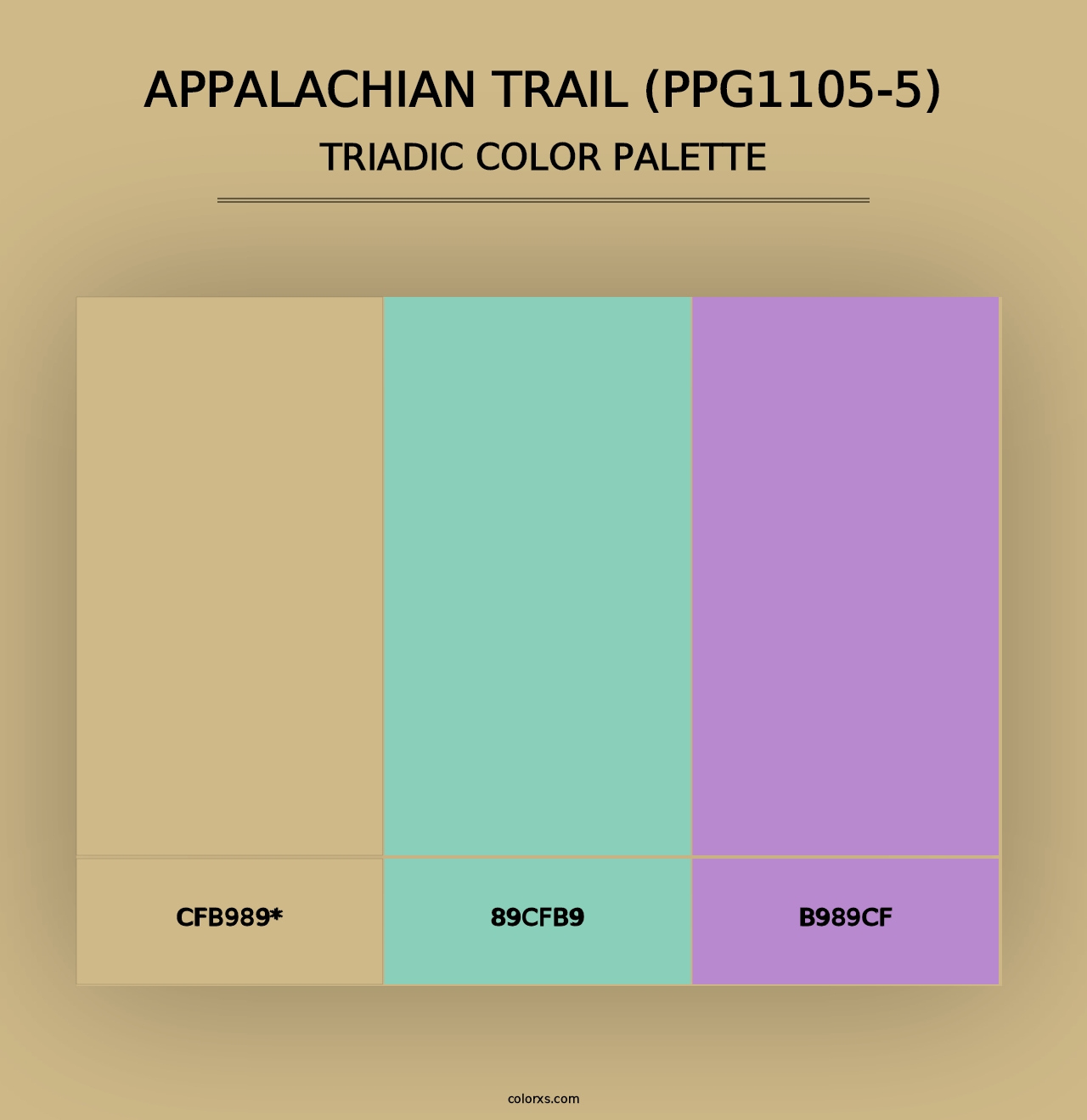 Appalachian Trail (PPG1105-5) - Triadic Color Palette