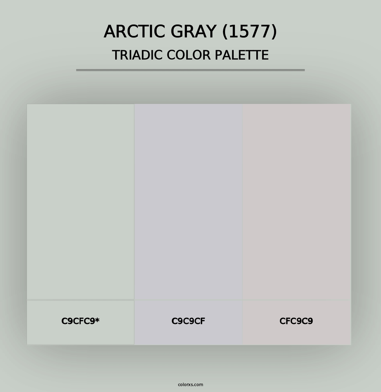 Arctic Gray (1577) - Triadic Color Palette