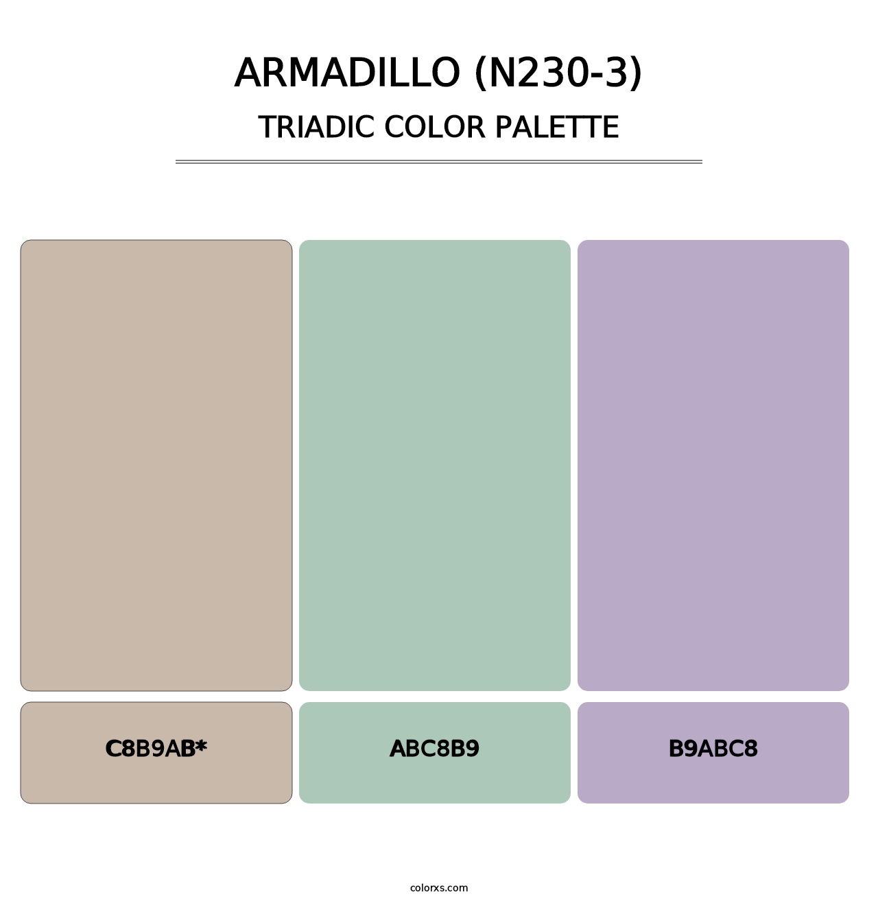 Armadillo (N230-3) - Triadic Color Palette