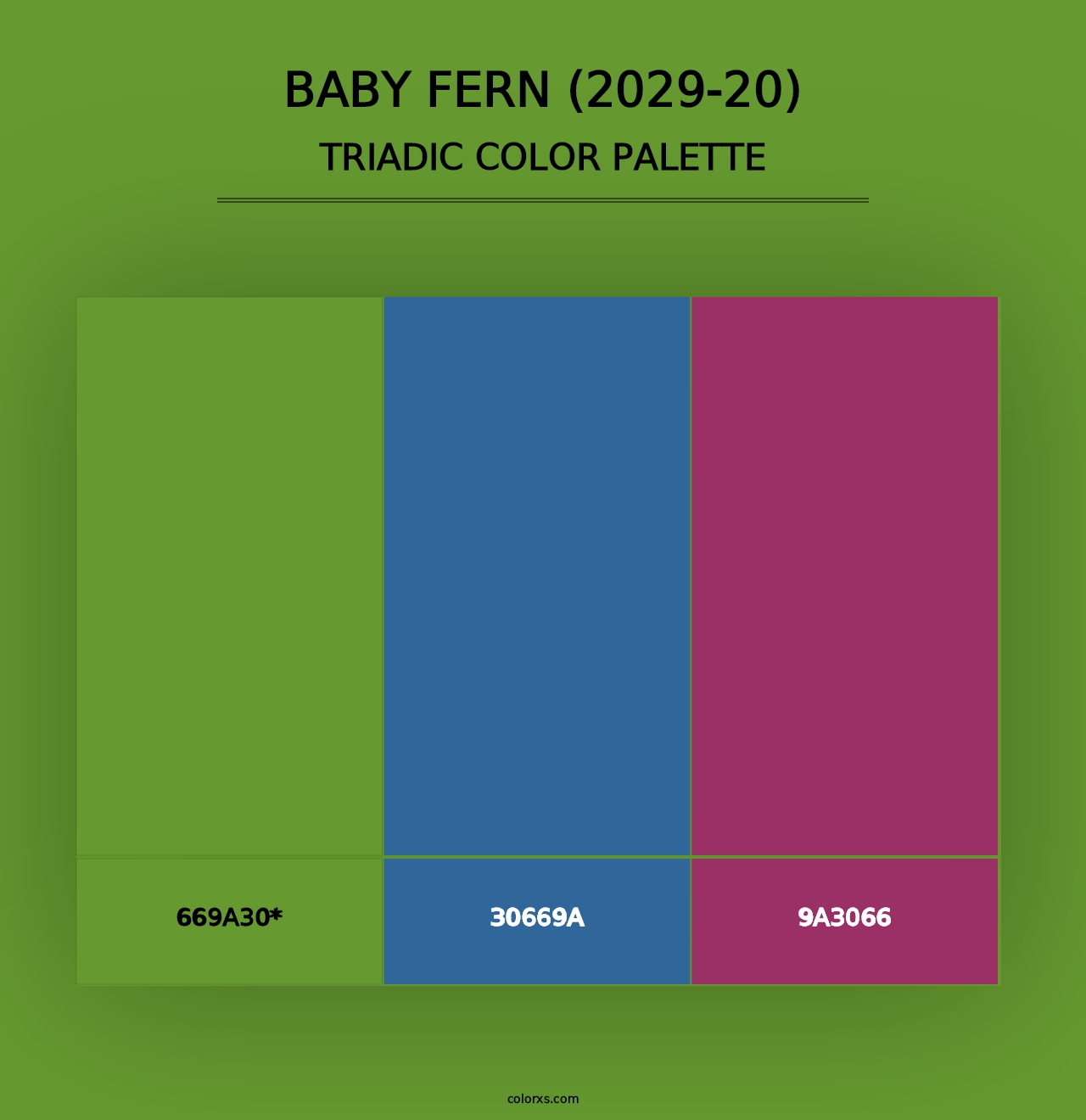 Baby Fern (2029-20) - Triadic Color Palette